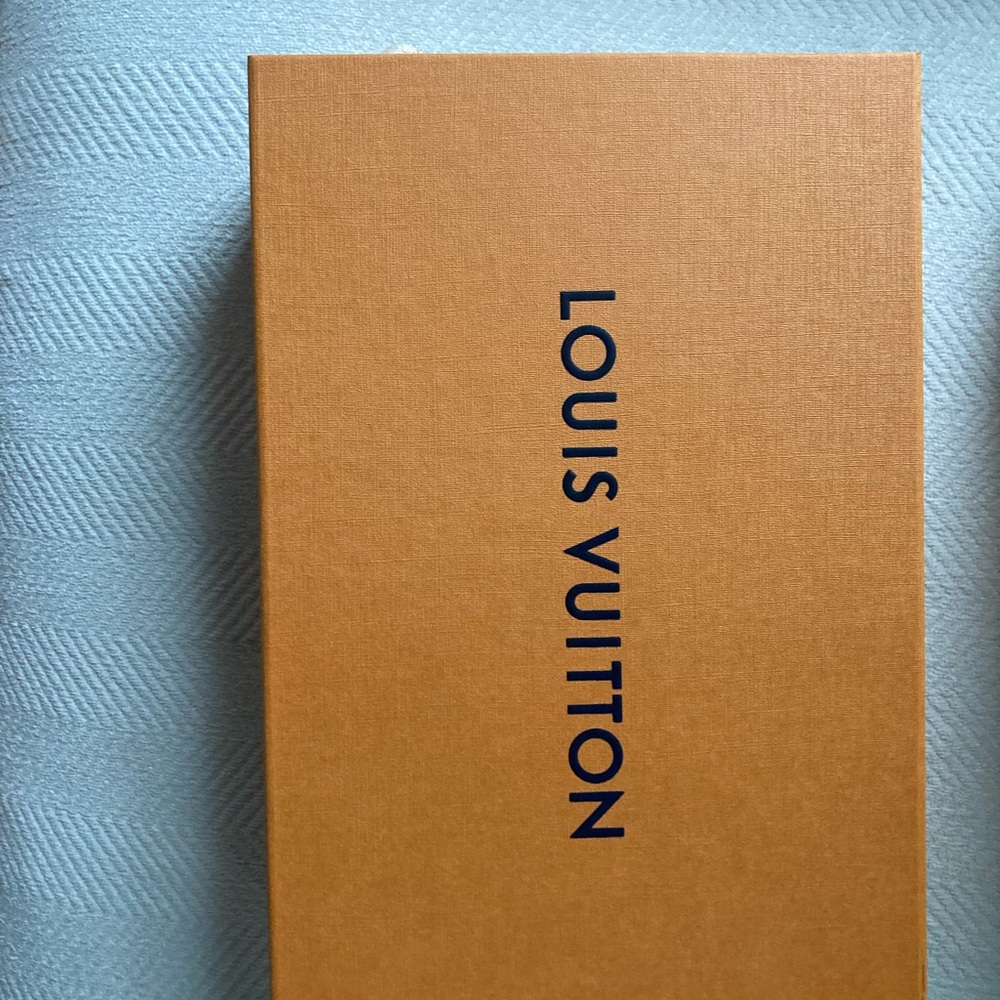 LV mini bag